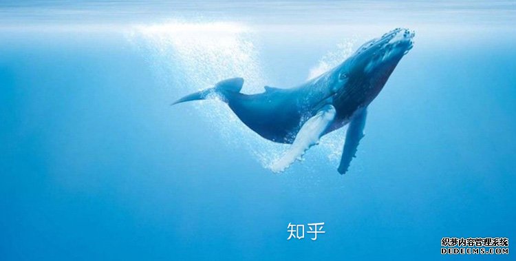 知乎 知乎运营模式 在行 知乎问答社区